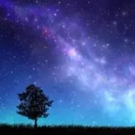 猫夢さんのアイコン画像