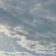 あるみさんのアイコン画像