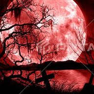 闇夜月　奈良さんのアイコン画像