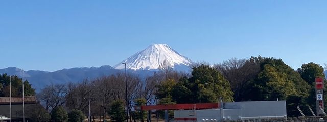 にぼしさんの壁紙画像