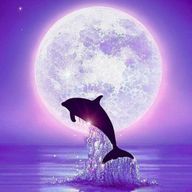 いるかさん🐬💜さんのアイコン画像