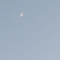 わいさんのアイコン画像