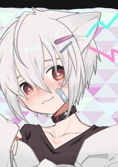 作者のシロネコと話しましょう!
