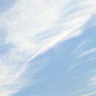 月季さんのアイコン画像