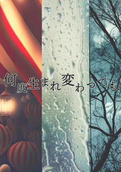 何度生まれ変わっても … 、【nk愛され】