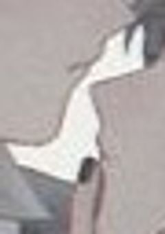 低身長でも飛べんだよ!(リメイク中)