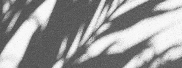 月宮 璃奈 さんの壁紙画像