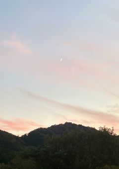 ジャニーズの愛され紅一点