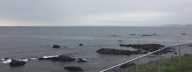 豆腐ﾁｬﾝ🤍💫さんの壁紙画像