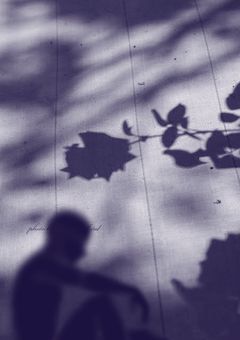 今日から私は梵天の女王であり、首領の犬です