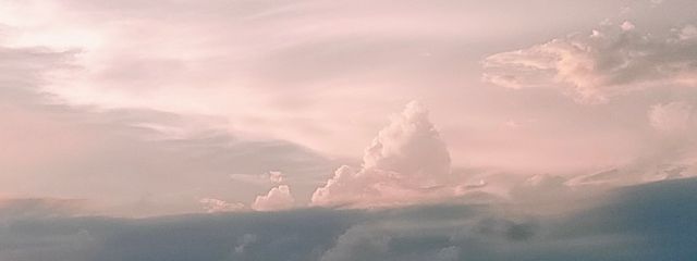 うなぎ🍪@関西人の友達2人から口癖移されます😭　◜ら◝さんの壁紙画像