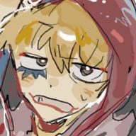 あみねこ#あみずは@一ヶ月語尾わんな低浮上ワンピファンさんのアイコン画像