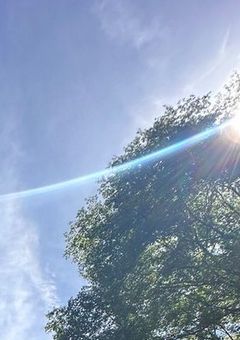 なんか、いい感じ？