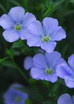 10年後の僕達へ。【3年編】