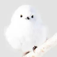 denkaさんのアイコン画像