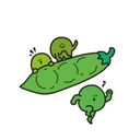 主