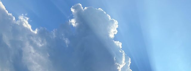 まめさんの壁紙画像