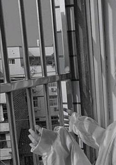 王子様と悪役、同じ高校に通います。