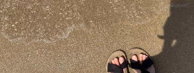 ððððããã®å£çŽç»å