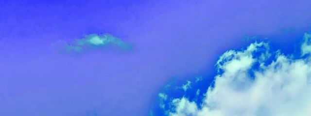 いろ🖤🌸🐧　      #フォロバ中さんの壁紙画像