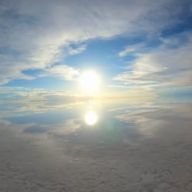 いろ🖤🌸🐧 #フォロバ中さんのアイコン画像