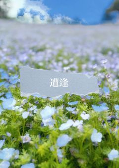 ネモフィラ -遭逢-