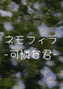 ネモフィラ -可憐な君-