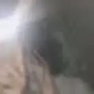 🧷さんのアイコン画像
