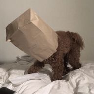 おむれつさんのアイコン画像