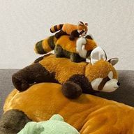 とらさんのアイコン画像