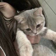 Wojさんのアイコン画像