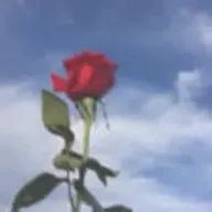 💜風葉💜さんのアイコン画像