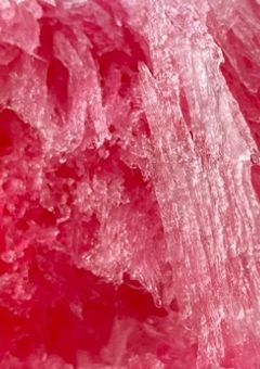 わちゃわちゃシェアハウス！恋愛ありだよ！【参加型】