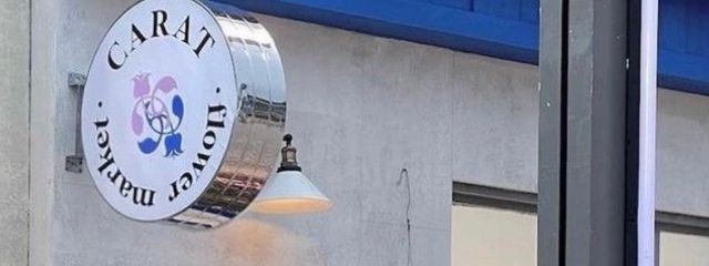 ぬんこさんの壁紙画像