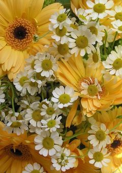 TREASUREでどきどきしたいね