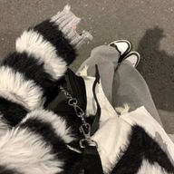 びたみんさんのアイコン画像