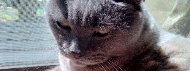 みさんの壁紙画像