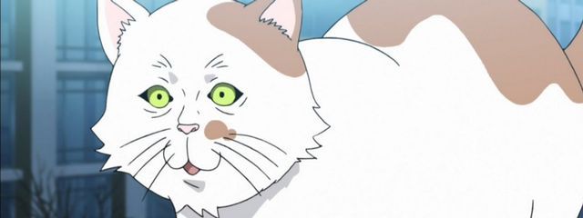 チョコミントさんの壁紙画像