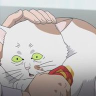 チョコミントさんのアイコン画像