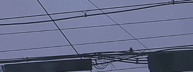 しずく  🏐さんの壁紙画像