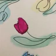 コタツムリさんのアイコン画像
