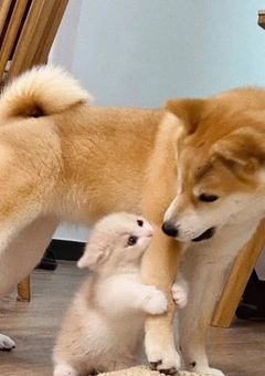 西のお話会