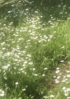 また君に出会えたなら