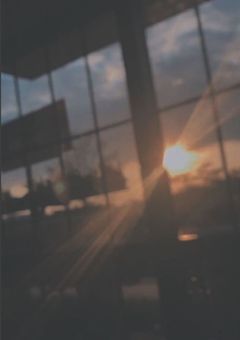 信じてくれないんだね…