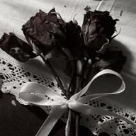 MARISAさんのアイコン画像