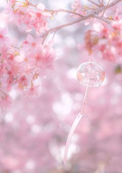 大好きな君とした約束の日から【💙🐱】