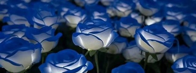 ・灯翠・さんの壁紙画像