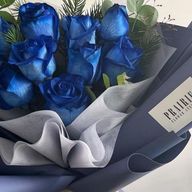 ・灯翠・さんのアイコン画像