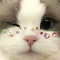 ESTP-Tさんのアイコン画像