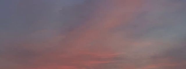 片栗粉さんの壁紙画像